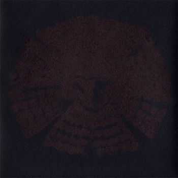 Fauna - Avifauna (2012) Fauna - Avifauna (2012)