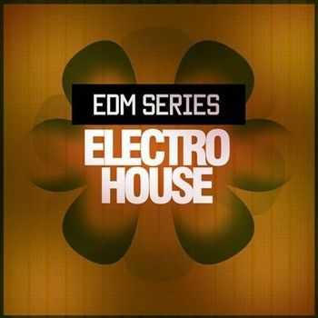 EDM Electro House (2013)
