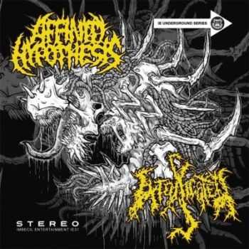 Affinity Hypothesis & Intoxicated - Dual Explosive Brutality [Split] (2012)