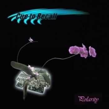 Cue To Recall - Polarity (2007) Cue To Recall - Polarity (2007)