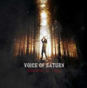 Voice Of Saturn -    [Single] (2013)