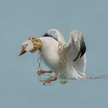 Rice Cultivation Society - Sky Burial (2013) Rice Cultivation Society - Sky Burial (2013)