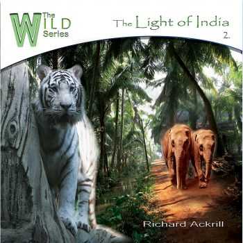 Richard Ackrill - The Light of India (2013)