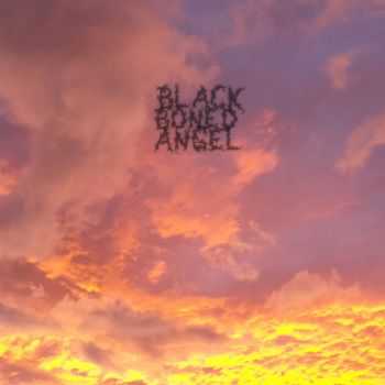 Black Boned Angel - The End (2013)