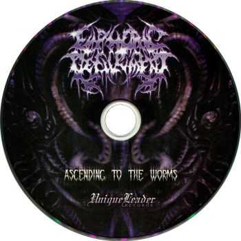 Euphoric Defilement - Ascending To The Worms (2013) Euphoric Defilement - Ascending To The Worms (2013)