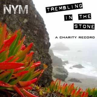 Nym - Trembling in the Stone (2013) Nym - Trembling in the Stone (2013)