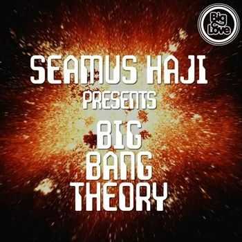 Seamus Haji Presents Big Bang Theory (2013)