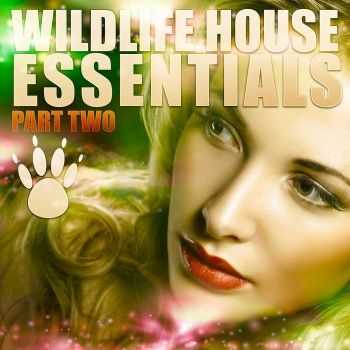 VA - Wildlife House Essentials part 2 (2013)