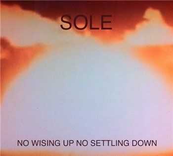 Sole - No Wising Up No Settling (2013) Sole - No Wising Up No Settling (2013)