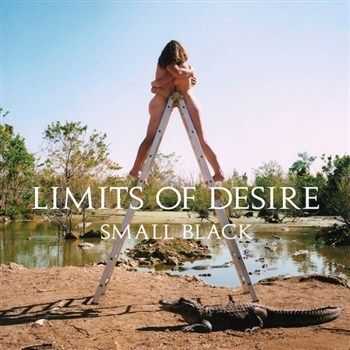 Small Black - Limits Of Desire (2013) Small Black - Limits Of Desire (2013)