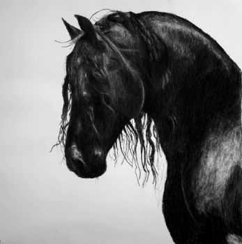 Trvth - Black Horse Plague (2013) Trvth - Black Horse Plague (2013)