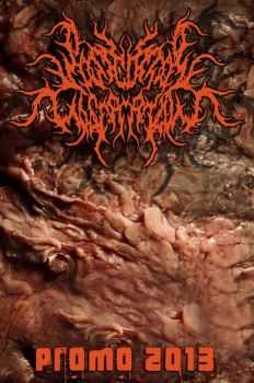 Postcoital Ulceration - Promo 2013 (Demo) (2013) Postcoital Ulceration - Promo 2013 (Demo) (2013)
