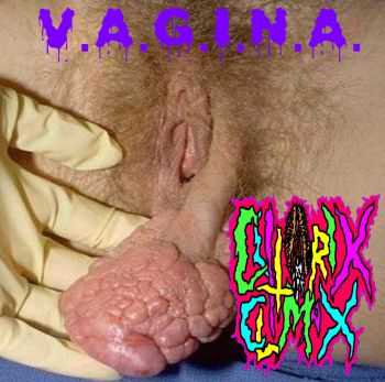 ClitoriX ClimaX - V.A.G.I.N.A. (2012)