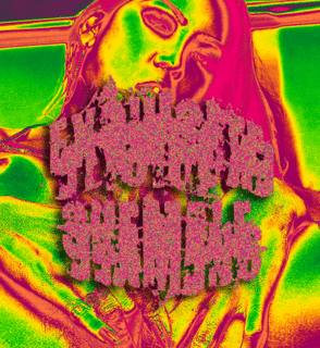 Exquisite Shemale - Shemale Fantasy (Demo) (2007) Exquisite Shemale - Shemale Fantasy (Demo) (2007)