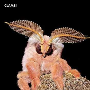 New Jack Rubys - Clams! (2013) New Jack Rubys - Clams! (2013)