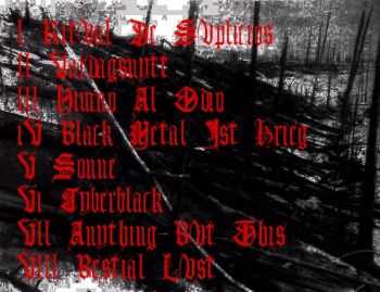 Schattenreiner - Funeral Of The Broken Souls (Demo) (2013) Schattenreiner - Funeral Of The Broken Souls (Demo) (2013)