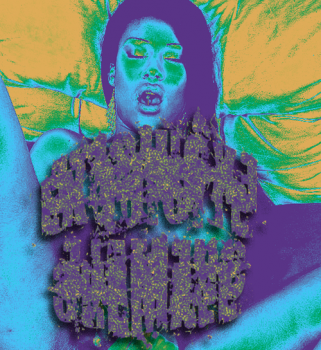 Exquisite Shemale - Shemale Fantasy (Demo) (2007) Exquisite Shemale - Shemale Fantasy (Demo) (2007)