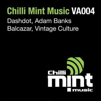 VA - Chilli Mint Music VA004 (2013)