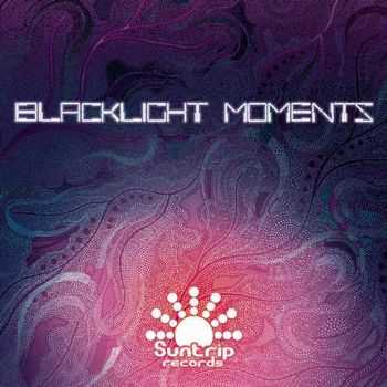 VA - Blacklight Moments (2013)