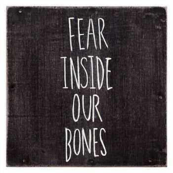 The Almost - Fear Inside Our Bones (2013)