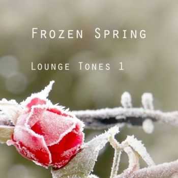 VA - Frozen Spring: Lounge Tones Vol 1 (2013)