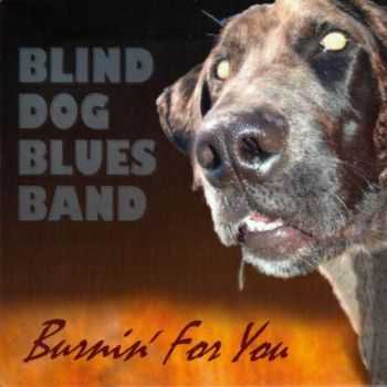 Blind Dog Blues Band - Burnin' For You (2013)  