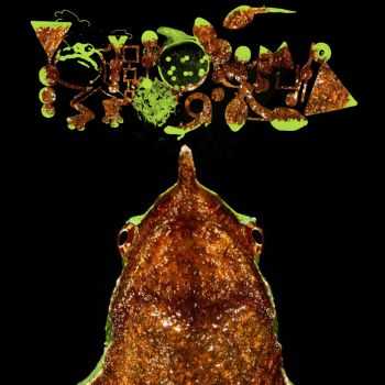 Phyllomedusa & Cockspank - Rhinoderma Phylogeny & Grim Body Exploration (Split) (2013)
