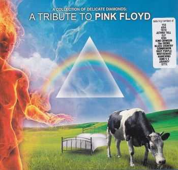 VA - A Collection of Delicate Diamonds: A Tribute to Pink Floyd (2011) HQ VA - A Collection of Delicate Diamonds: A Tribute to Pink Floyd (2011) HQ