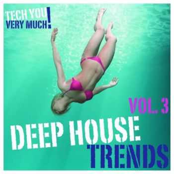 VA - Deep House Trends Vol 3 (2013)