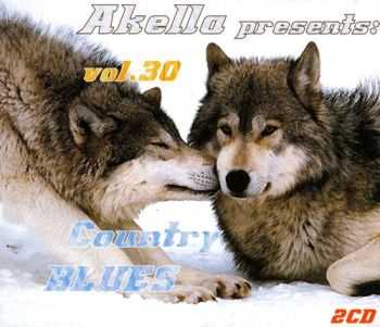 VA - Akella Presents vol.30 2013