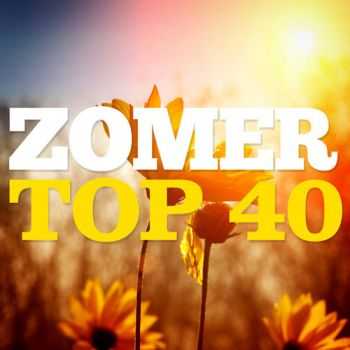 VA - Zomer Top 40 (2013)