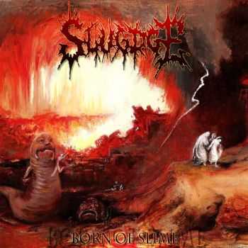 Slugdge - Born Of Slime (2013) Slugdge - Born Of Slime (2013)