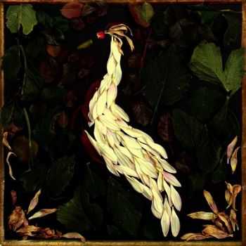 Audrey Assad - Fortunate Fall (2013) Audrey Assad - Fortunate Fall (2013)