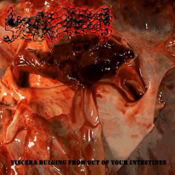Fire Extinguisher - Viscera Bulging From Out Of Your Intestines (2011)