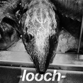 looch -  (2013)