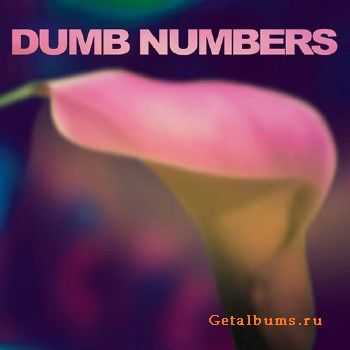 Dumb Numbers - Dumb Numbers (2013)