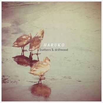 Haruko  Feathers & Driftwood (2013)