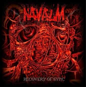Navalm - Recovery Of Sync (2013) Navalm - Recovery Of Sync (2013)