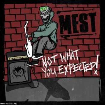 Mest  - - Not What You Expected  ((2013))