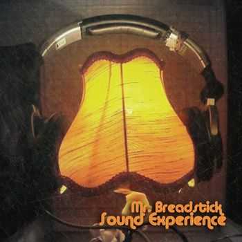 Mr. Breadstick -  Sound Experience (2013)