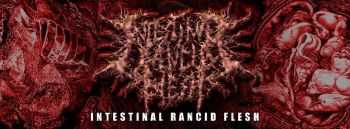 Intestinal Rancid Flesh - Demo (2013) Intestinal Rancid Flesh - Demo (2013)