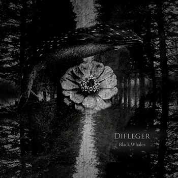 Difleger - Black Whales (2013)