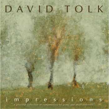 David Tolk - Impressions (2013)