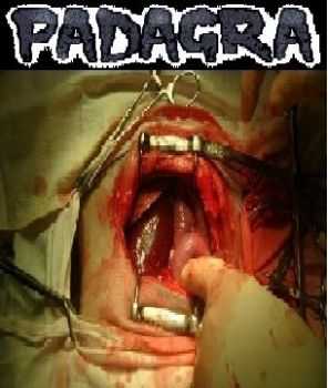 Padagra - В Единой России Свиноёбы!!! (EP) (2013) Padagra - В Единой России Свиноёбы!!! (EP) (2013)