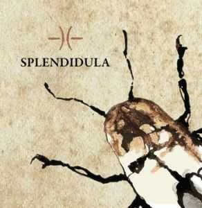 Splendidula - Splendidula (2013)