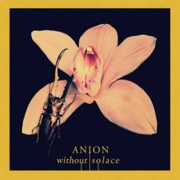 Anion - Without Solace (2013) Anion - Without Solace (2013)