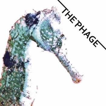 The Phage - The Phage 2014