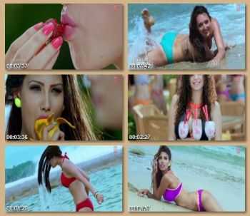 Himansh Kohli, Rakul Preet Feat. Yo Yo Honey Singh - Sunny Sunny (2013)
