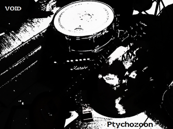 Ptychozoon - VOID (2012) Ptychozoon - VOID (2012)