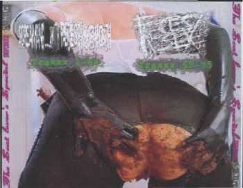 Screaming... With Faeces In Your Mouth & Faeces Sex - The Scat Lover's Special (Split) (2010) Screaming... With Faeces In Your Mouth & Faeces Sex - The Scat Lover's Special (Split) (2010)